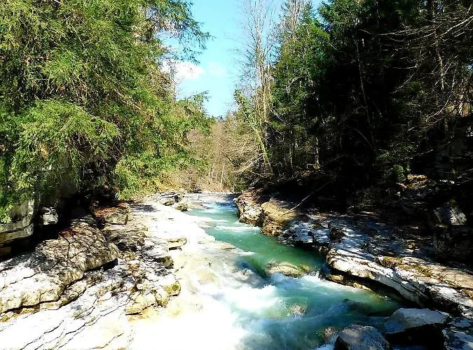 公寓 Tauglerei Kamin In Den Zauberbergen *
